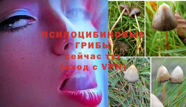 jwh Алексеевка