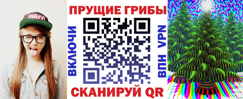 продажа наркотиков  Североуральск  Псилоцибиновые грибы MAGIC MUSHROOMS 
